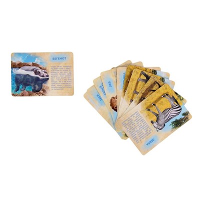 Набор животных с обучающими карточками «Дикие животные разных стран», животные пластик, карточки, по методике Монтессори