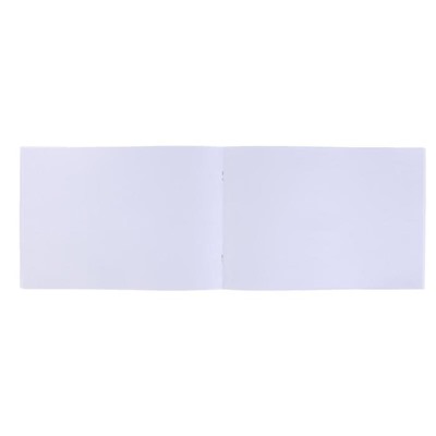 Альбом для рисования А4, 40 листов на скрепке "Васильки-Ромашки", обложка мелованный картон, УФ-лак, блок офсет 100 г/м2