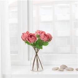 SMYCKA СМИККА, Цветок искусственный, Пион/темно-розовый, 30 см