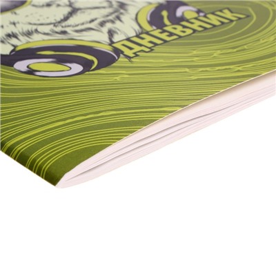 Дневник в мягкой обложке, для 1-11 классов, 40 листов, Calligrata "Лев в очках"