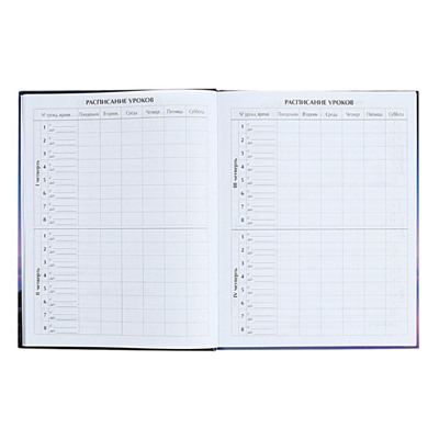 Дневник универсальный для 1-11 классов "На грани", твёрдая обложка, матовая ламинация, выборочный лак, 40 листов