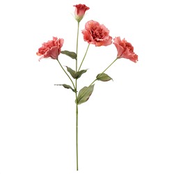 SMYCKA СМИККА, Цветок искусственный, Лизиантус/темно-розовый, 60 см