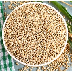 Джавари (Сорго) зерно