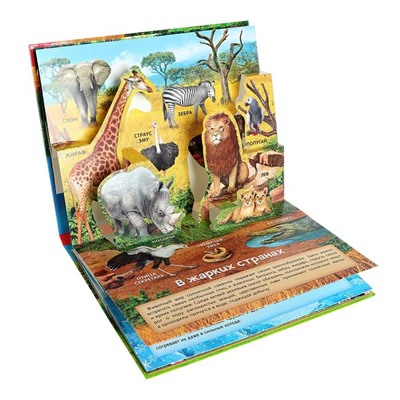 Книга-панорамка 3D «Мир животных» 12 стр.