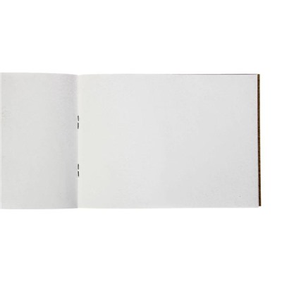 Альбом для рисования А5, 20 листов, на скрепке, «Цветик», 100 г/м²