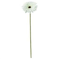 SMYCKA СМИККА, Цветок искусственный, Гербера/белый, 50 см