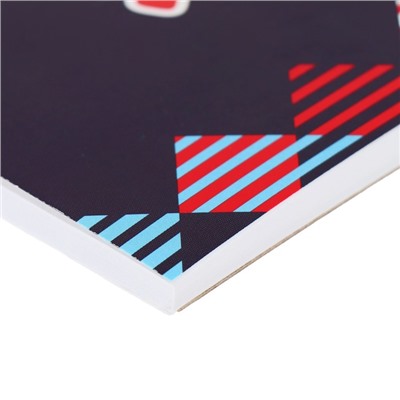 Альбом для рисования А4, 30 листов на клею ErichKrause Funny Racoon, обложка мелованный картон, жёсткая подложка, блок 120 г/м2