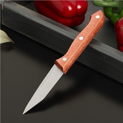 Нож овощной Доляна Ecology, лезвие 8,5 см