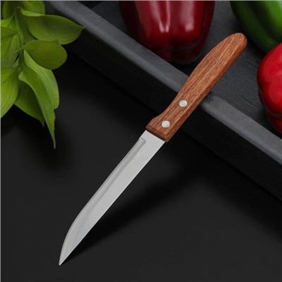 Нож кухонный «Эльбрус», гладкое лезвие 11,5 см