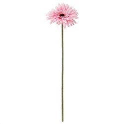 SMYCKA СМИККА, Цветок искусственный, Гербера/розовый, 50 см