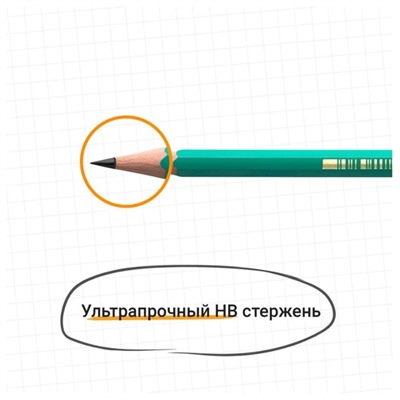 Набор карандашей чернографитных 3 штуки BIC "Evolution", НВ, пластиковый, с ластиком