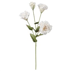 SMYCKA СМИККА, Цветок искусственный, Лизиантус/белый, 60 см