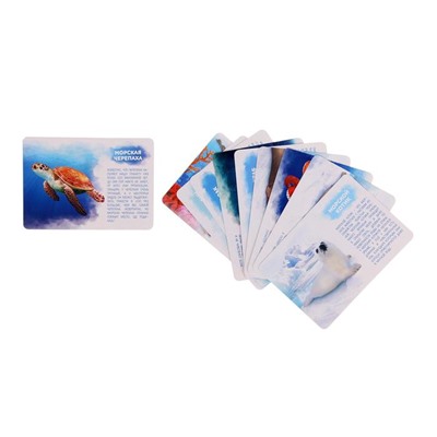 Набор животных с обучающими карточками «Подводный мир», животные пластик, карточки, по методике Монтессори