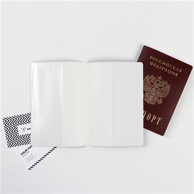 Обложка на паспорт ПВХ "  Личность" (1 шт)