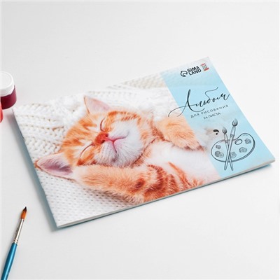 Альбом для рисования А4 24 листа на скрепке «1 сентября: Котик» обложка 160 г/м2, бумага 100 г/м2.