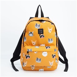 Рюкзак, отдел на молнии, наружный карман, цвет оранжевый, «Коты»