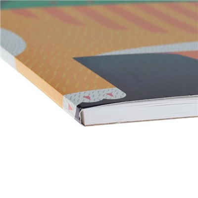 Альбом для рисования А4, 30 листов на клею Erich Krause «Котя», обложка мелованный картон, жёсткая подложка, блок 120 г/м2