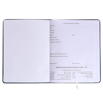 Дневник универсальный для 1-11 класса "Герб", твёрдая обложка, искусственная кожа, синяя обложка, ляссе, 80 г/м2