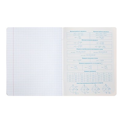Тетрадь предметная "Яркая цветная", 48 листов в клетку "Алгебра", обложка мелованный картон, выборочный лак, со справочным материалом