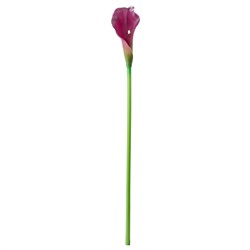 SMYCKA СМИККА, Цветок искусственный, Зантедеския/фиолетовый, 67 см