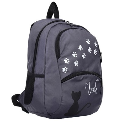 Рюкзак школьный с эргономичной спинкой Stavia, 40 х 30 х 13 см, для девочки "Чёрная кошка"