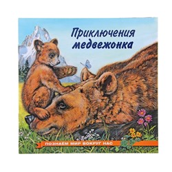 «Приключения медвежонка», Гурина И. В.