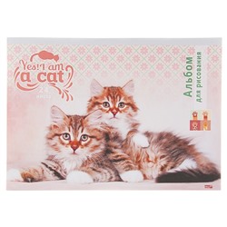 Альбом для рисования А4, 24 листа, «Дружные котята», бумажная обложка