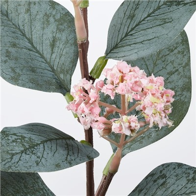 SMYCKA СМИККА, Цветок искусственный, эвкалипт/розовый, 30 см