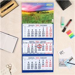 Календарь квартальный, трио "Природа - 8" 2024 год, 31х69см