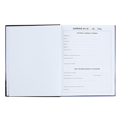 Дневник универсальный для 1-11 классов "На грани", твёрдая обложка, матовая ламинация, выборочный лак, 40 листов