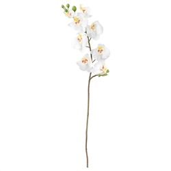 SMYCKA СМИККА, Цветок искусственный, Орхидея/белый, 60 см