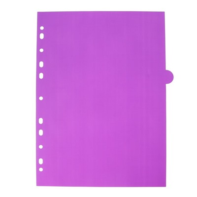 Разделитель листов A4 (245 x 305 мм), цветовой, 12 листов, "deVENTE. Pastel", полипропилен 140 мкм, индивидуальная упаковка