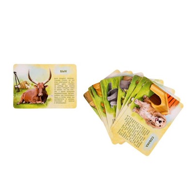 Набор животных с обучающими карточками «Фермерское хозяйство», животные пластик, карточки, по методике Монтессори