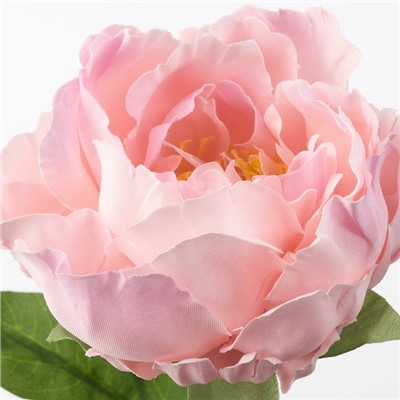 SMYCKA СМИККА, Цветок искусственный, Пион/розовый, 30 см