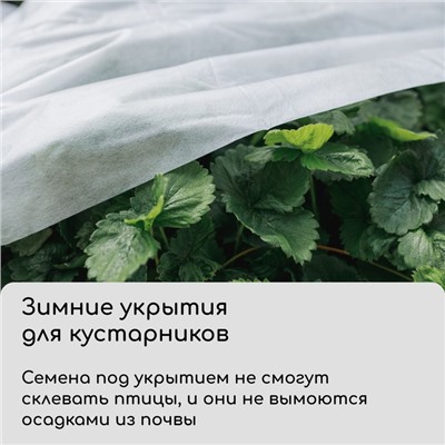 Материал укрывной, 10 × 3.2 м, плотность 60 г/м², спанбонд с УФ-стабилизатором, белый, Greengo, Эконом 20 %