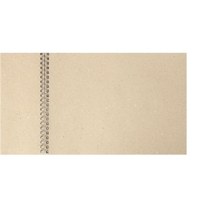 Альбом для рисования 190 х 260, ЗХК «Сонет», 50 листов, 80 г/м², на гребне, бумага серая марка Б