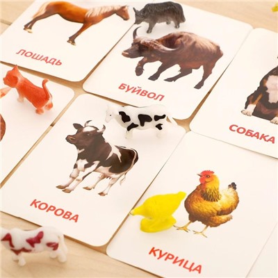 Развивающий набор с карточками «Домашние животные», по методике Домана