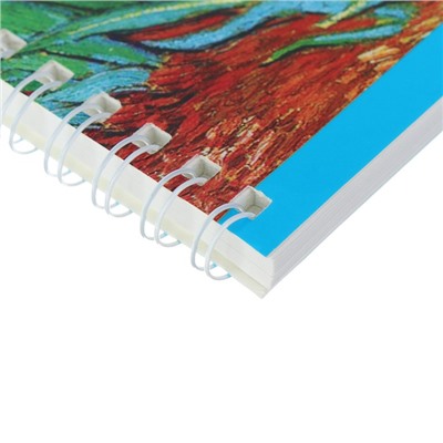 Альбом для рисования А5, 40 листов на гребне «Классика», мелованный картон, глянцевая ламинация, блок 100 г/м2, микс из 2-х видов