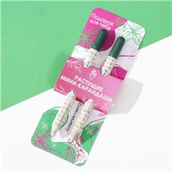 Растущие подарочные карандаши mini "Базилик + Мята" набор 2 шт.