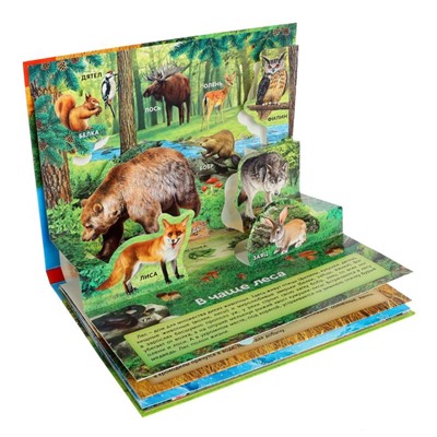 Книга-панорамка 3D «Мир животных» 12 стр.