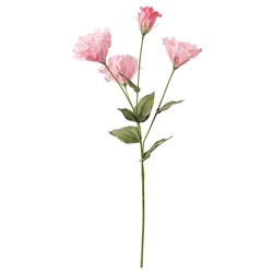 SMYCKA СМИККА, Цветок искусственный, Лизиантус/розовый, 60 см