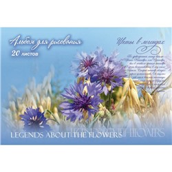 Альбом для рисования А4, 20 листов на скрепке "Цветы в легендах", обложка мелованный картон, блок офсет 100 г/м2, МИКС