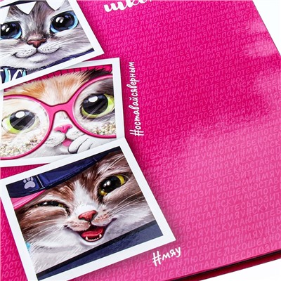 Дневник универсальный для 1-11 классов, 48 листов "Коты", интегральная обложка, глянцевая ламинация