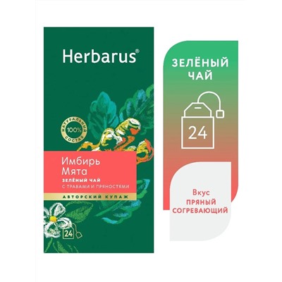 Чай зеленый Herbarus Имбирь Мята (24 пакетика)