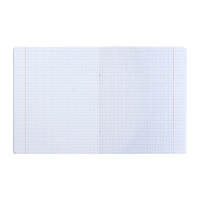 Тетрадь предметная "Яркая цветная", 48 листов в клетку "Алгебра", обложка мелованный картон, выборочный лак, со справочным материалом