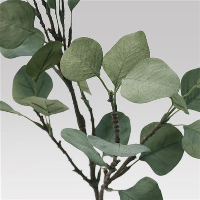 SMYCKA СМИККА, Искусственный листок, эвкалипт/зеленый, 65 см