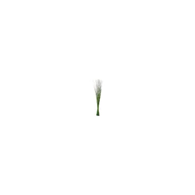 SMYCKA СМИККА, Сухой букет, зеленый, 115 см