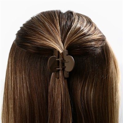 Краб для волос "Сочиняй мечты", 2,5 х 4 см