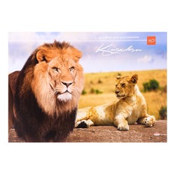 Альбом для рисования А4, 40 листов на клею «Лев и львица», обложка мелованный картон, блок 160 г/м²
